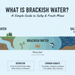 Brackish Water